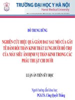 NGHIÊN cứu HIỆU QUẢ GIẢM ĐAU SAU mổ của gây tê đám rối THẦN KINH THẮT LƯNG dưới hỗ TRỢ của máy SIÊU âm ĐỊNH vị THẦN KINH TRONG các PHẪU THUẬT CHI dưới 