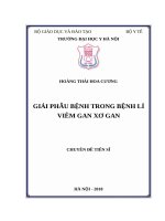 GIẢI PHẪU BỆNH TRONG BỆNH lí VIÊM GAN xơ GAN 