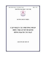 CẬP NHẬT các PHƯƠNG PHÁP điều TRỊ lơ xê MI KINH DÒNG BẠCH cầu hạt 