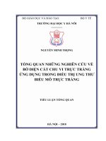 TỔNG QUAN NHỮNG NGHIÊN cứu về bờ DIỆN cắt CHU VI TRỰC TRÀNG ỨNG DỤNG TRONG điều TRỊ UNG THƯ BIỂU mô TRỰC TRÀNG 