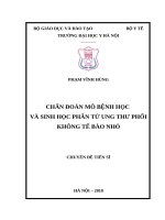 CHẨN đoán mô BỆNH học và SINH học PHÂN tử UNG THƯ PHỔI KHÔNG tế bào NHỎ 