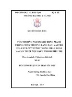 TỔN THƯƠNG NGUỒN gốc ĐỘNG MẠCH TRONG CHẤN THƯƠNG TẠNG đặc VAI TRÒ của cắt lớp VI TÍNH TRONG CHẨN đoán và CAN THIỆP nội MẠCH TRONG điều TRỊ 