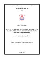 ĐÁNH GIÁ CHẤT LƯỢNG CUỘC SỐNG của BỆNH NHÂN SAU PHẪU THUẬT THOÁT vị đĩa đệm cột SỐNG THẮT LƯNG tại BỆNH VIỆN đại học y hà nội 