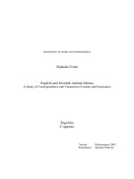 A Contrastive Analysis of English and Turkey Idioms