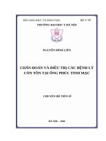 CHẨN đoán và điều TRỊ các BỆNH lý còn tồn tại ỐNG PHÚC TINH mạc 