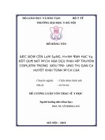 ĐẶC điểm cận lâm SÀNG, HÌNH ẢNH học và kết QUẢ nút MẠCH hóa dầu PHỐI hợp TRUYỀN CISPLATIN TRONG  điều TRỊ  UNG THƯ GAN có HUYẾT KHỐI TĨNH MẠCH cửa 