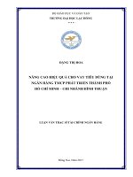 Nâng cao hiệu quả cho vay tiêu dùng tại Ngân hàng thương mại cổ phần Phát triển thành phố Hồ Chí Minh – Chi nhánh Bình Thuận