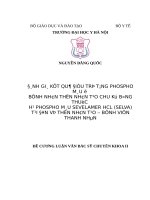ĐÁNH GIÁ kết QUẢ điều TRỊ TĂNG PHOSPHO máu ở BỆNH NHÂN THẬN NHÂN tạo CHU kỳ BẰNG THUỐC hạ PHOSPHO máu SEVELAMER HCL (SELVA) tại đơn vị THẬN NHÂN tạo – BỆNH VIỆN THANH NHÀN 