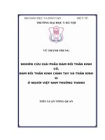 NGHIÊN cứu GIẢI PHẪU đám rối THẦN KINH cổ, đám rối THẦN KINH CÁNH TAY và THẦN KINH XI ở NGƯỜI VIỆT NAM TRƯỞNG THÀNH 