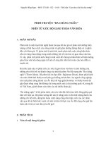 Tiểu luận giao thoa van hoa 