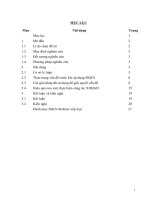 Biện pháp huy động xã hội hóa giáo dục tăng cường cơ sở vật chất để xây dựng trường chuẩn quốc gia ở trường THCS nga hải 