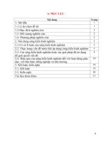 Kinh nghiệm hướng dẫn học sinh giải một số dạng toán cơ bản về phương trình bậc hai một ẩn góp phần nâng cao chất lượng môn toán 9 ở trường THCS thiệu ngọc, huyện thiệu hoá