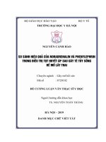 SO SÁNH HIỆU QUẢ của NORADRENALIN và PHENYLEPHRIN TRONG điều TRỊ tụt HUYẾT áp SAU gây tê tủy SỐNG để mổ lấy THAI 