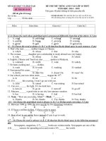 DE THI THU VAO 10 10