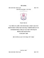 VAI TRÒ của SIÊU âm TIM 3d QUA THỰC QUẢNỞ BỆNH NHÂN VIÊM nội tâm mạc NHIỄM KHUẨN có CHỈ ĐỊNH PHẪU THUẬT tại VIỆN TIM MẠCH¬ BỆNH VIỆN BẠCH MAI năm 2019  2020 