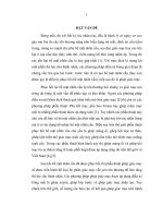 Nghiên cứu phẫu thuật ghép giác mạc trên mắt đã được tái tạo bề mặt nhãn cầu sau bỏng 