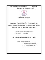 NGHIÊN cứu đột BIếN TRêN một số VùNG TRọNG ĐIểM CủA GEN G6PD ở BệNH NHâN THIếU hụt ENZYM G6PD 