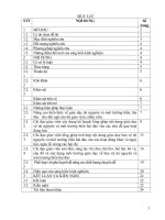 Một số giải pháp chỉ đạo giáo viên mẫu giáo nâng cao chất lượng chuyên đề  bảo vệ tài nguyên và môi trường biển hải đảo tại trường mầm non nga hưng 