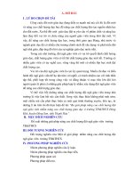 Một số giải pháp nâng cao chất lượng đội ngũ ở trường THTHCS đông khê huyện đông sơn 