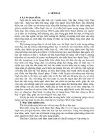 Một số phương pháp rèn kỹ năng viết văn miêu tả cho học sinh lớp 6 trường THCS nga thanh 