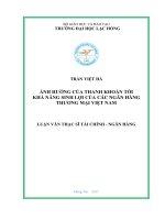 Ảnh hưởng của thanh khoản tới khả năng sinh lợi của các ngân hàng thương mại Việt Nam: luận văn thạc sĩ