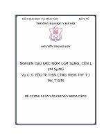 NGHIÊN cứu đặc điểm lâm SÀNG, cận lâm SÀNG và các yếu tố TIÊN LƯỢNG VIÊM tủy tái PHÁT sớm 