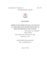 NGHIÊN cứu đặc điểm lâm SÀNG, cận lâm SÀNG của VIÊM PHỔI NGƯỜI lớn điều TRỊ nội TRÚ tại BỆNH VIỆN PHỔI TRUNG ƯƠNG năm 2019 