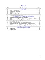 Kinh nghiệm phất triển tư duy sáng tạo hình học cho học sinh lớp 8 9 ở trường THCS chu văn an 