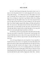 Hiệu quả điều trị dọa đẻ non bằng atosiban tại bệnh viện phụ sản trung ương 