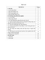 Một số biện pháp triển khai và chỉ đạo thực hiện môi trường giáo dục lấy trẻ làm trung tâm trong trường mầm non nga vịnh 