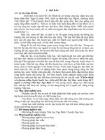 Chiến thuật và phương pháp huấn luyện học sinh giỏi TDTT môn bóng đá 5 người ở trường TH nga điền 2, huyện nga sơn 