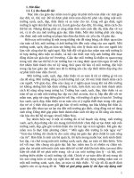 Một số giải pháp quản lí chỉ đạo xây dựng môi trường xanh sạch đẹp, thân thiện  an toàn trong trường mầm non 