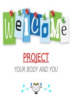Bài dự án unit 2 Tiếng anh 10: Your body and you