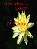 Bài giảng Đại số 9 chương 1 bài 1: Căn bậc hai