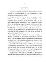 Đặc điểm mô bệnh học  và sự  phát  triển  xơ trong tuỷ xương ở một số bệnh tăng sinh tuỷ mạn ác tính tại bệnh viện bạch mai 