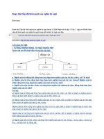 Soạn bài cấp độ khái quát của nghĩa từ ngữ