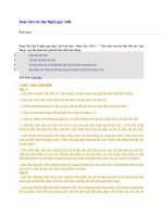 Soạn bài lão hạc ngắn gọn nhất