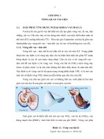 Nghiên cứu đánh giá kết quả phẫu thuật thay van hai lá bằng van cơ học st jude tại bệnh viện trung ương quân đội 108