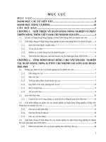 Báo cáo thực tập agribank 