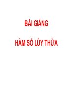 Bài giảng Giải tích 12 chương 2 bài 2: Hàm số lũy thừa
