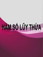 Bài giảng Giải tích 12 chương 2 bài 2: Hàm số lũy thừa