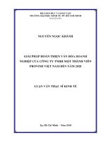 Giải pháp hoàn thiện văn hóa doanh nghiệp của công ty TNHH một thành viên provimi việt nam đến năm 2020 