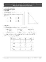 2 ti so luong giac cua goc nhon toan lop 9