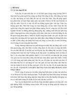 Vận dụng tam thức bậc hai vào giải một số dạng toán ở bậc THCS 