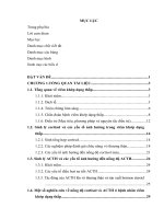Nghiên cứu sự biến đổi nồng độ cortisol máu, chức năng tiết cortisol của tuyến thượng thận ở bệnh nhân viêm khớp dạng thấp 