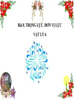 Bài giảng Vật lý 6 bài 8: Trọng lực, Đơn vị lực