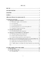 Xây dựngchương trình dự báo doanh thu bán hàng cho siêu thị Minh Cầu  Thái Nguyên