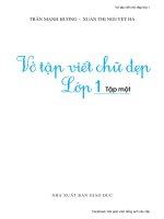 VO TAP VIET CHU DEP LOP 1 