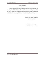 Phát triển hoạt động marketing trực tuyến tại công ty TNHH dược phẩm quốc tế mai văn 