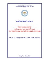 Một số giải pháp phát triển nguồn nhân lực tại Trường Đại học Đồng Nai đến năm 2020: luận văn thạc sĩ